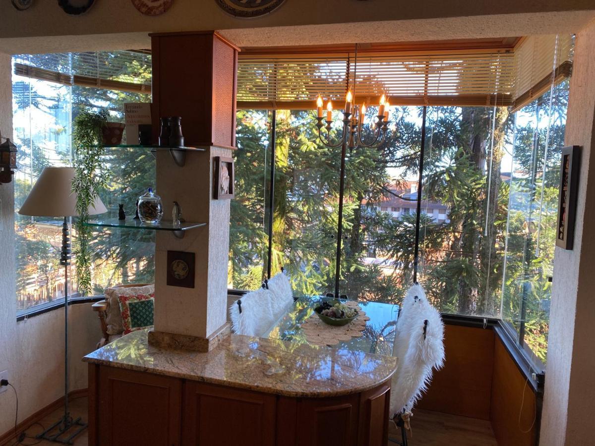 Vista Inspiradora Em Uma Localizacao Imbativel! Daire Gramado Dış mekan fotoğraf
